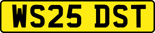 WS25DST