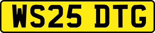 WS25DTG