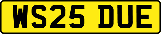 WS25DUE