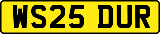 WS25DUR