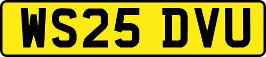 WS25DVU