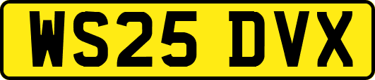 WS25DVX