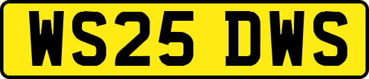 WS25DWS