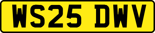 WS25DWV