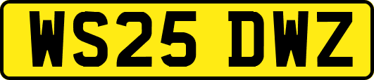 WS25DWZ