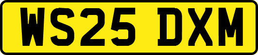 WS25DXM