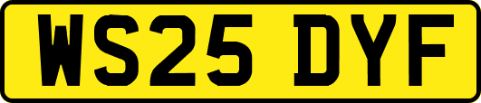 WS25DYF