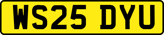 WS25DYU