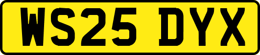 WS25DYX