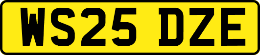 WS25DZE