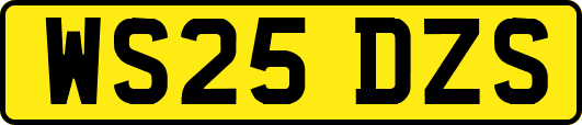 WS25DZS