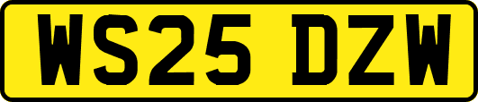 WS25DZW