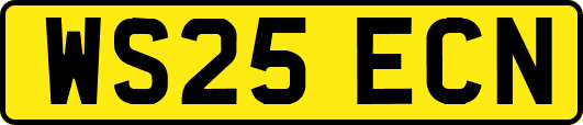 WS25ECN