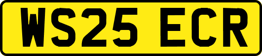 WS25ECR