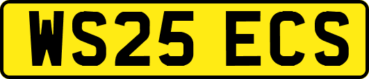 WS25ECS