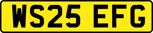 WS25EFG