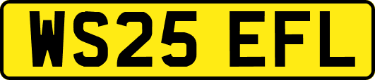 WS25EFL