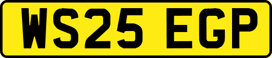 WS25EGP