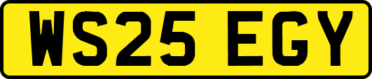 WS25EGY