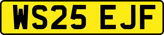 WS25EJF