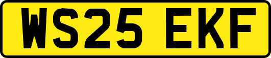 WS25EKF