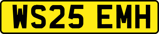 WS25EMH