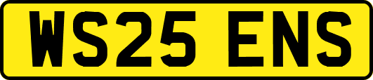 WS25ENS