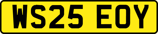 WS25EOY