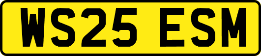 WS25ESM