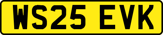 WS25EVK
