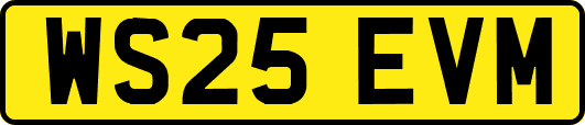 WS25EVM