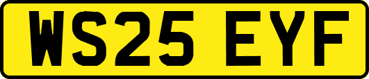 WS25EYF