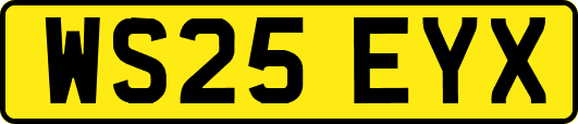 WS25EYX
