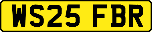 WS25FBR