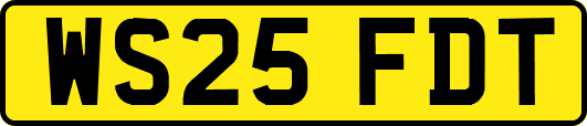 WS25FDT