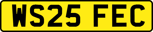 WS25FEC