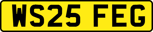 WS25FEG