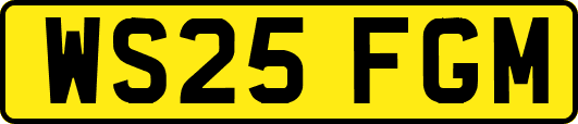 WS25FGM