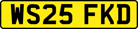 WS25FKD