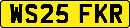 WS25FKR