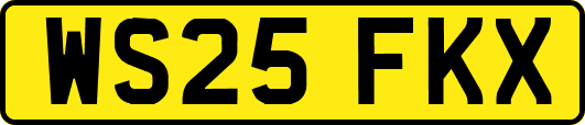 WS25FKX