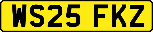 WS25FKZ