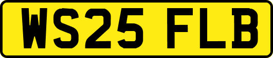 WS25FLB