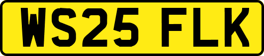 WS25FLK