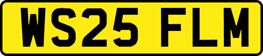WS25FLM