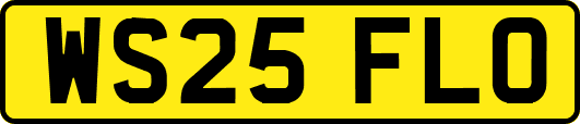 WS25FLO