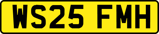 WS25FMH