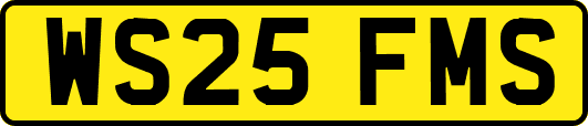 WS25FMS