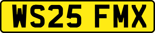WS25FMX