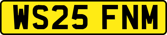 WS25FNM